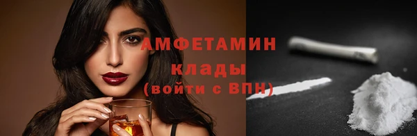 твердый Вяземский
