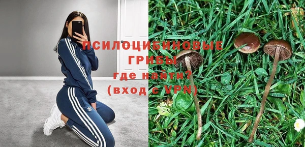гашик Медногорск
