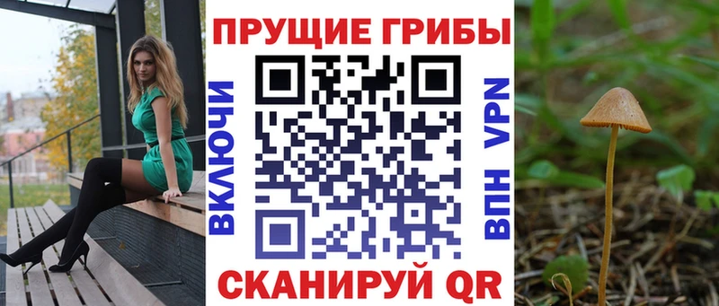 купить закладку  Шарья  Псилоцибиновые грибы мицелий 